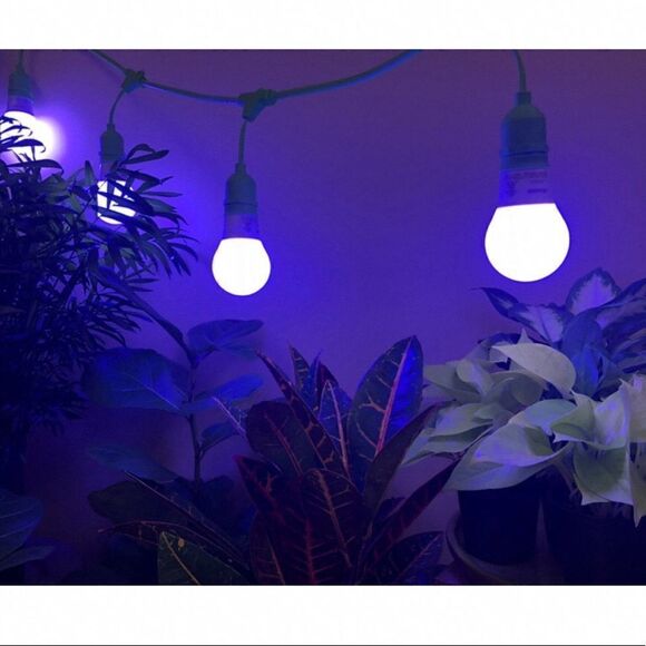 COPY 3- MIRACLE LED Grow Light Cord System 4 Socket 4 Bulbs Included-Linkable - Picture 2 of 8